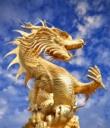 11995672-golden-giant-dragon-chinois-pour-l-39-annee-1212-1.jpg