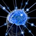 991837 le cerveau est excit travers les cordes le concept d intelligence 1